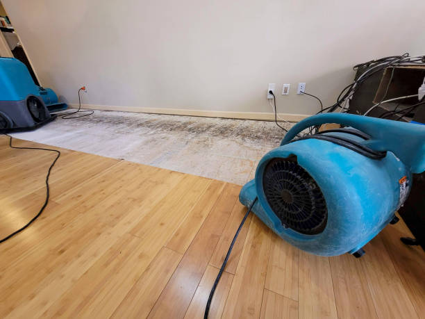 Professional Structural Drying technician working in Loganville, PA
